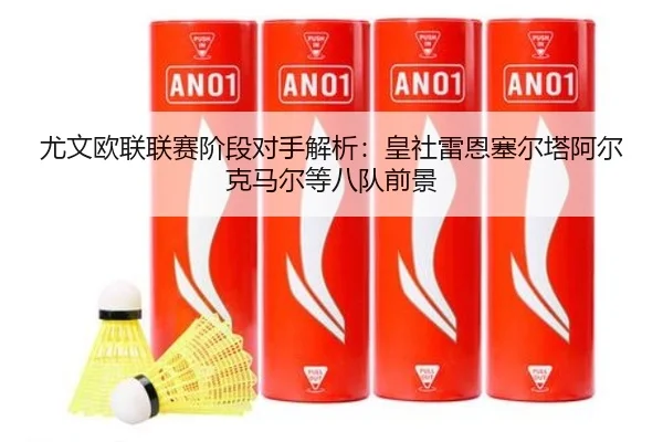 尤文欧联联赛阶段对手解析:皇社雷恩塞尔塔阿尔克马尔等八队前景