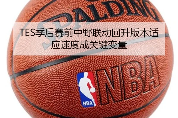 TES季后赛前中野联动回升版本适应速度成关键变量
